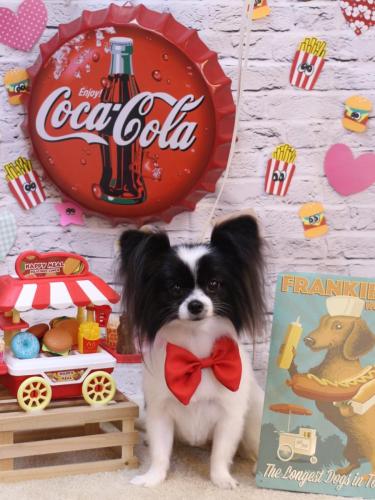 20230908ルアナちゃん